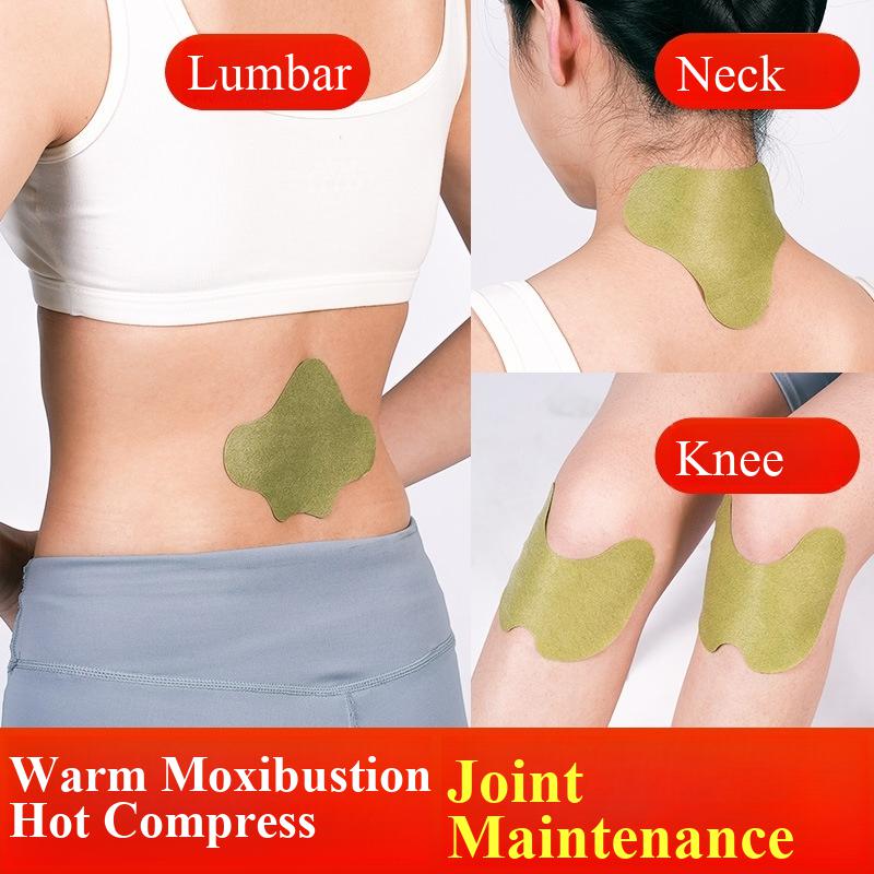 100pcs Wormwood Lumbar Patches - Yoga Health & Fitness Center review and price