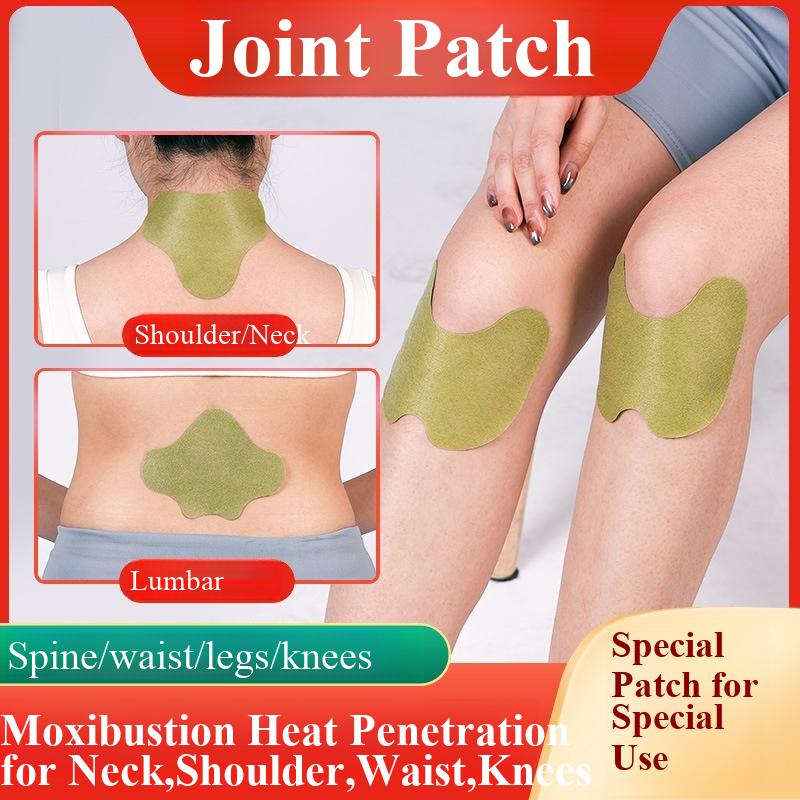 100pcs Wormwood Lumbar Patches - Yoga Health & Fitness Center review and price