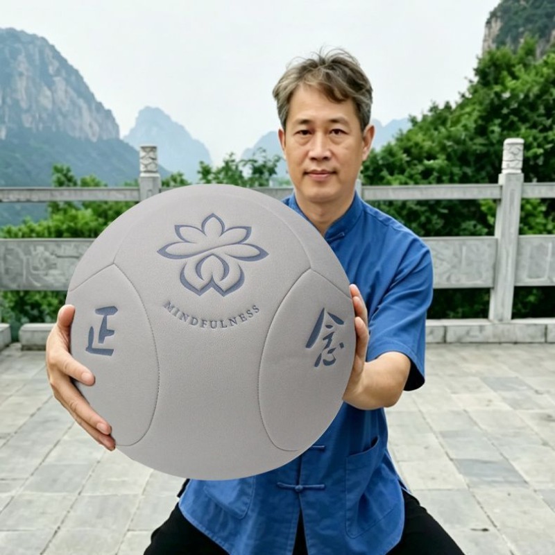 Large Portable Tai Chi Health  - Yoga Health & Fitness Center review and price